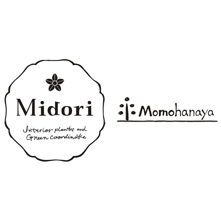 Midori／Momohanaya
