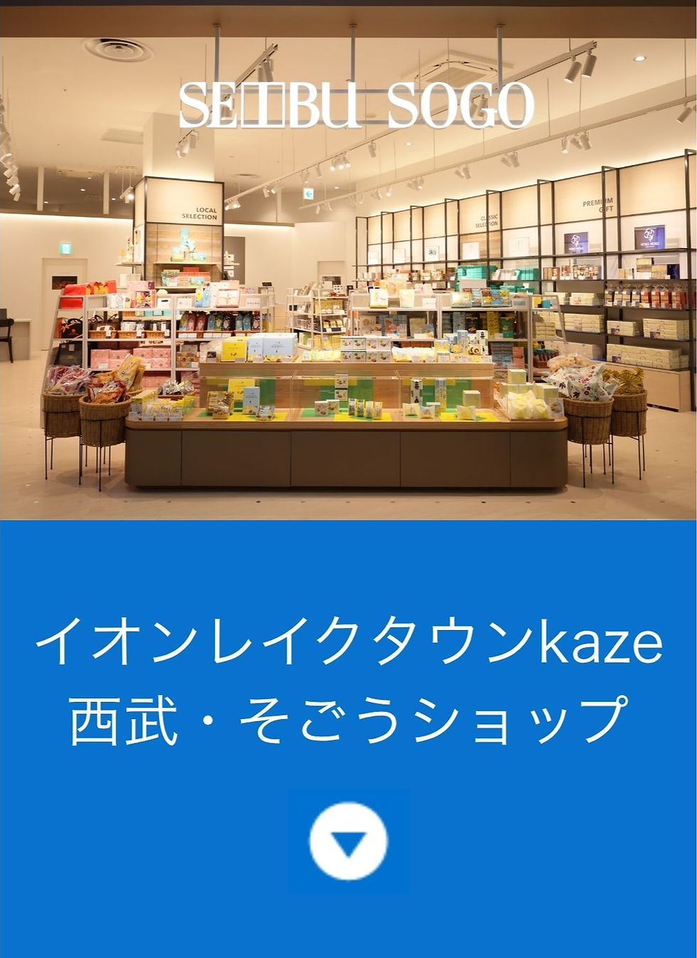 西武・そごうショップ イオンレイクタウンkaze SP