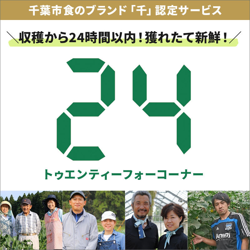 ≪長塚青果×ファームサポート千葉≫収穫から24時間以内の野菜・果物販売「24コーナー」