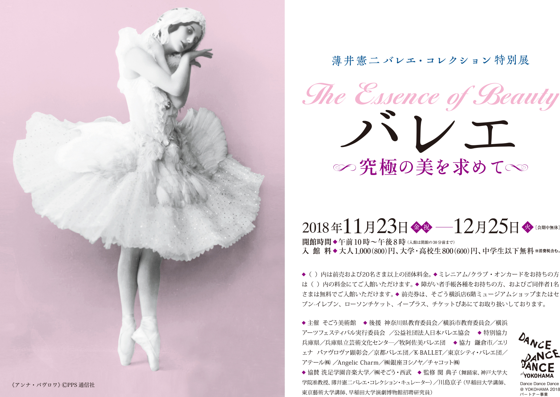 薄井憲二バレエ コレクション特別展 The Essence Of Beauty バレエ 究極の美を