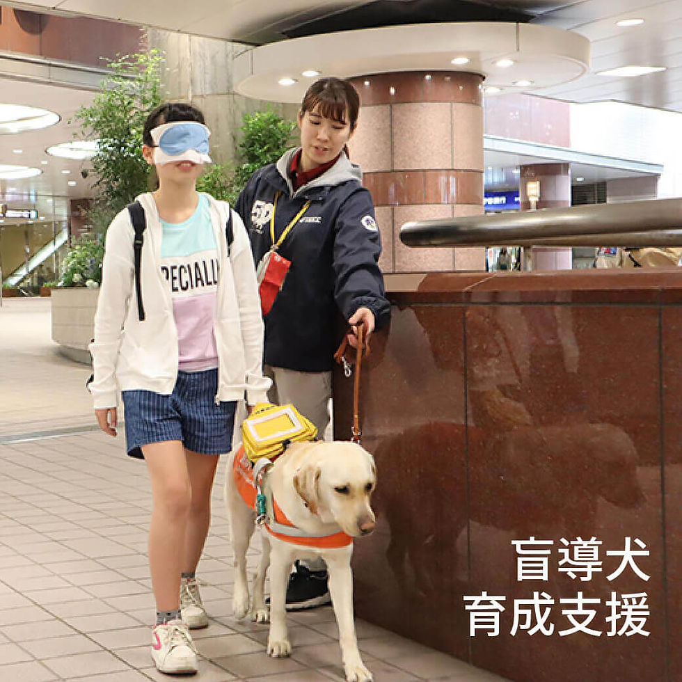盲導犬育成支援