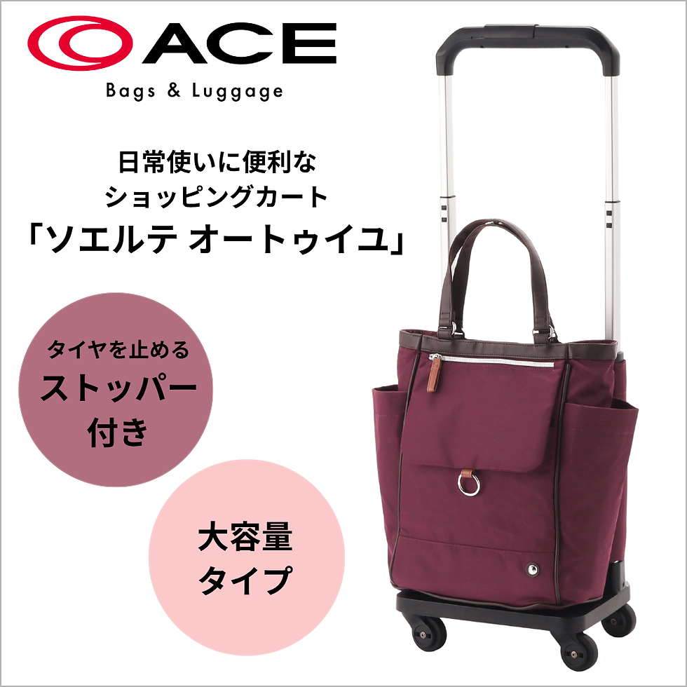 《ACE Bags & Luggage》大人気!日々のお買い物やご旅行にも活躍するキャリーバッグ
【ソエルテ オートゥイユ】