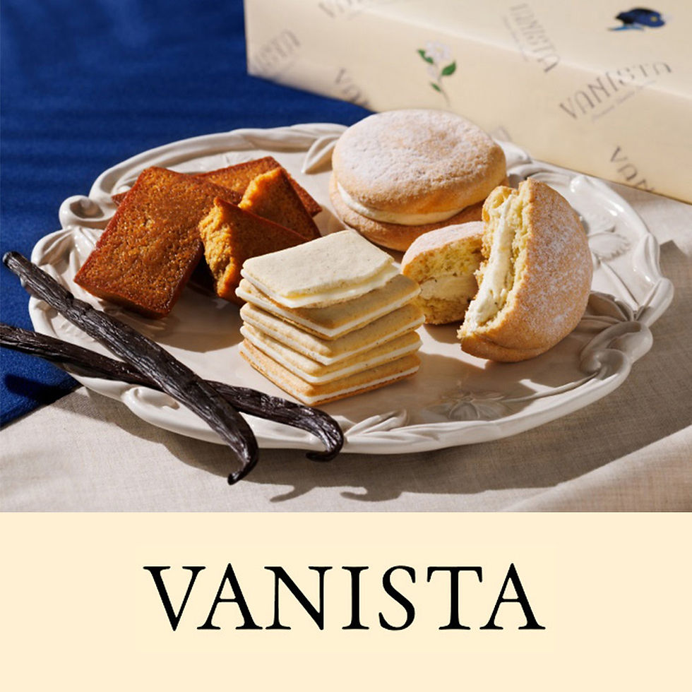 VANISTA(バニスタ)
