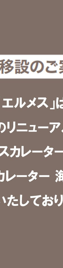 エルメス」売場移設のご案内 | そごう横浜店 | 西武・そごう